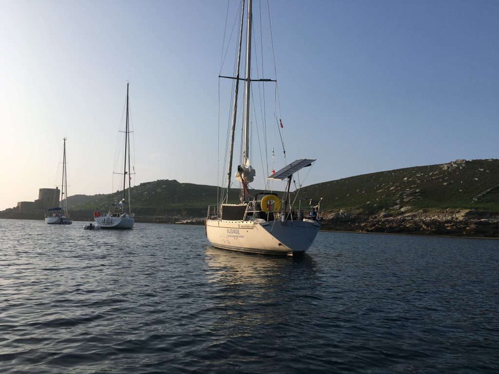 Alidade Voile École de croisière du Finistère